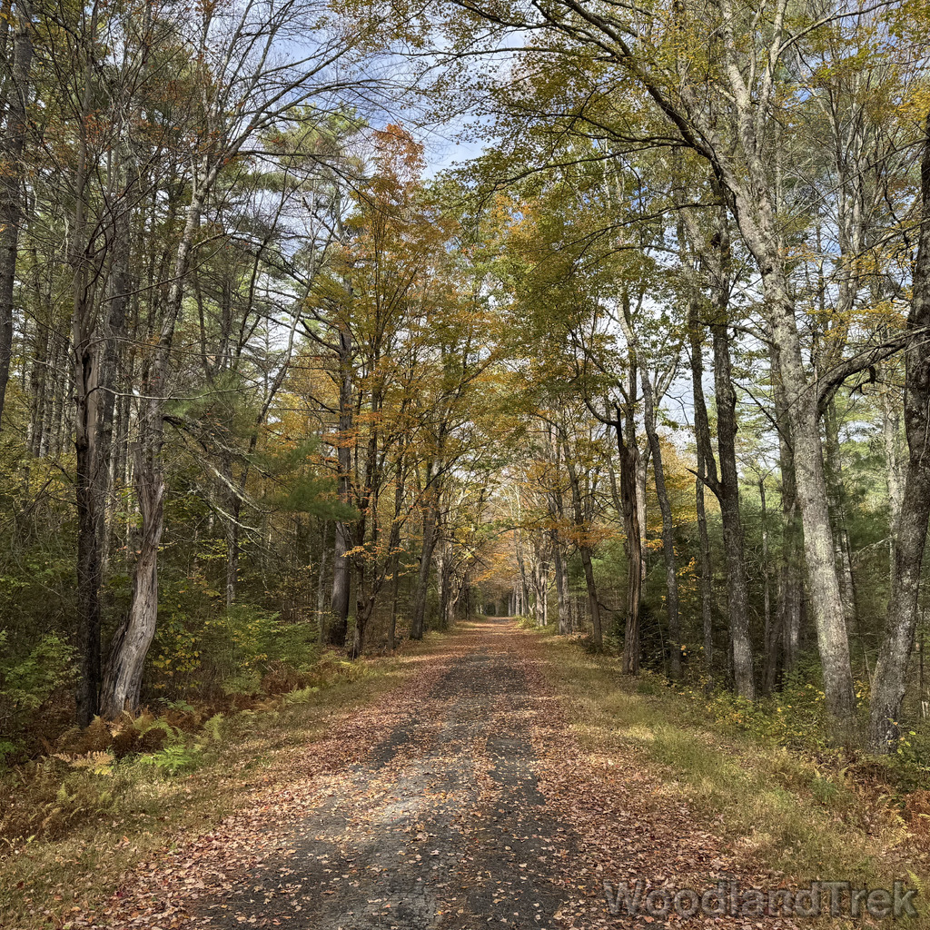 2025-10-11_132607_00