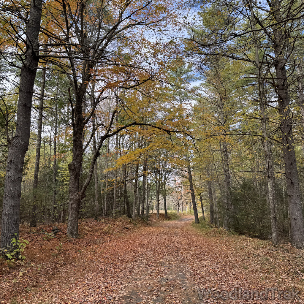 2025-10-11_133013_00