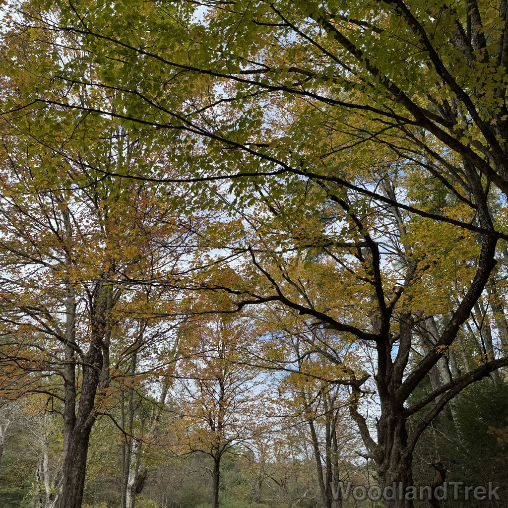 2025-10-11_133302_00