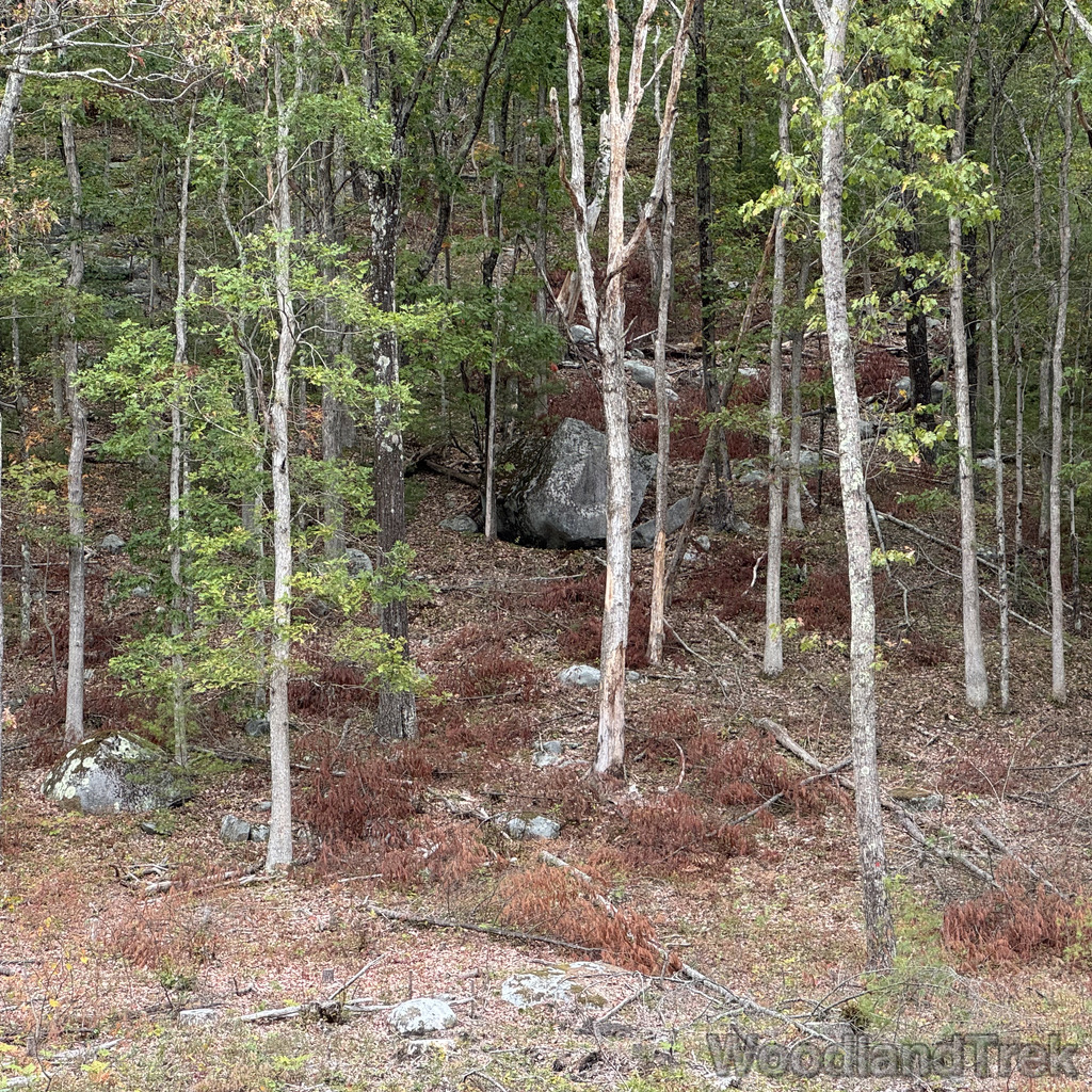 2025-10-11_140559_00