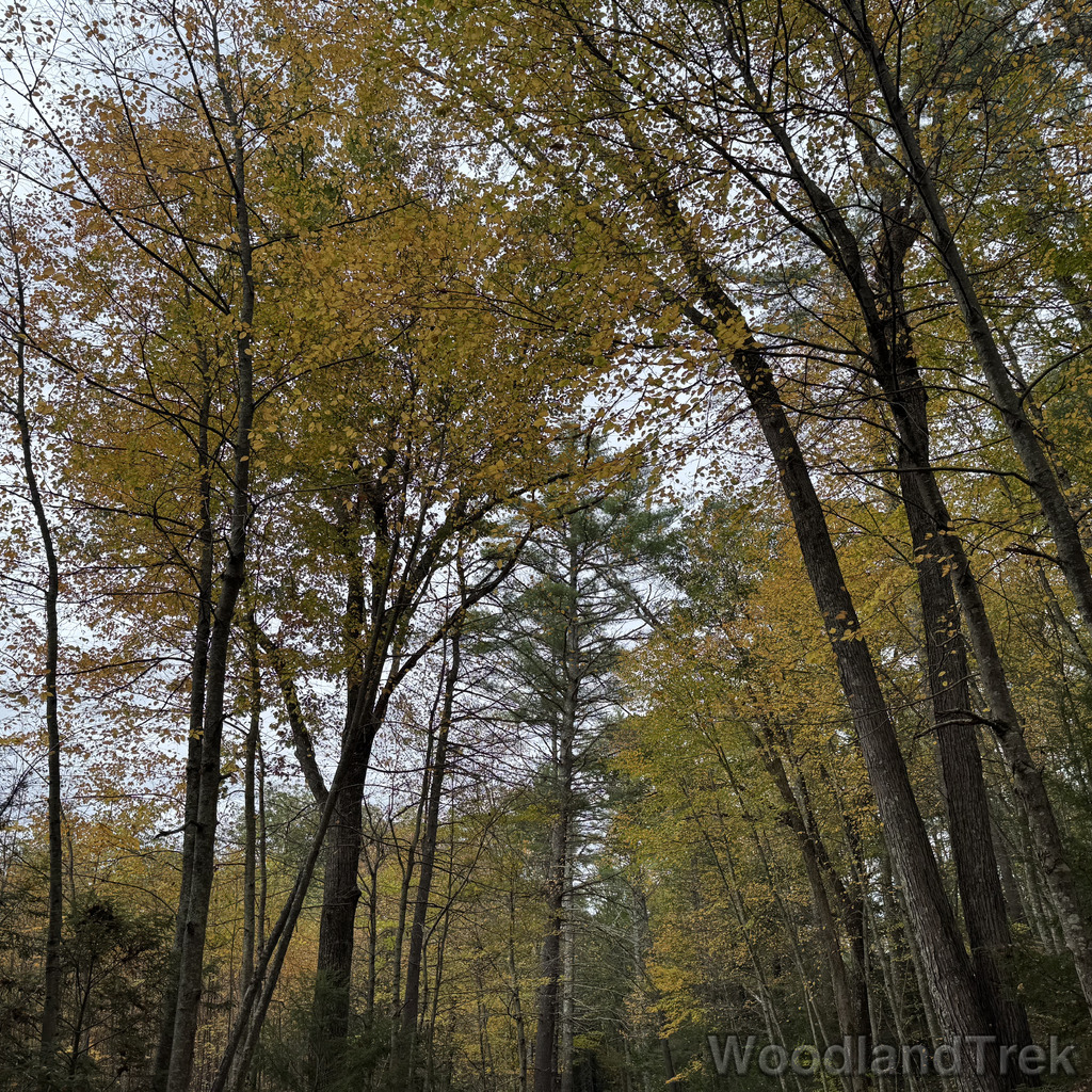 2025-10-11_141423_00