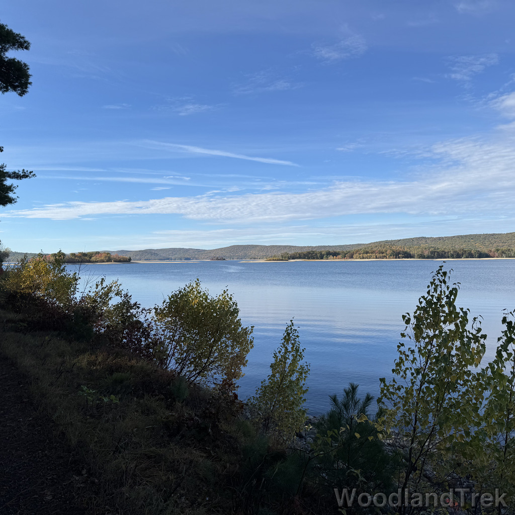 2025-10-18_094739_00