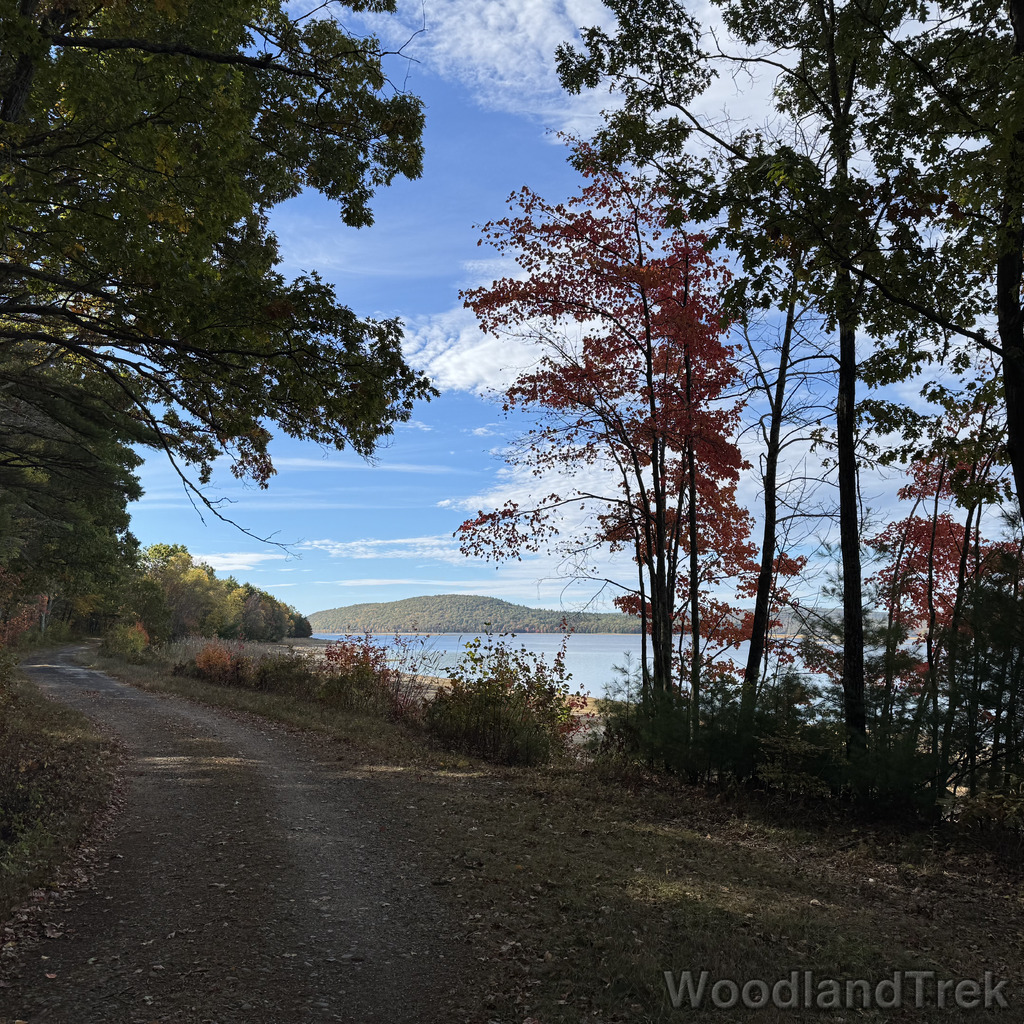 2025-10-18_100415_00