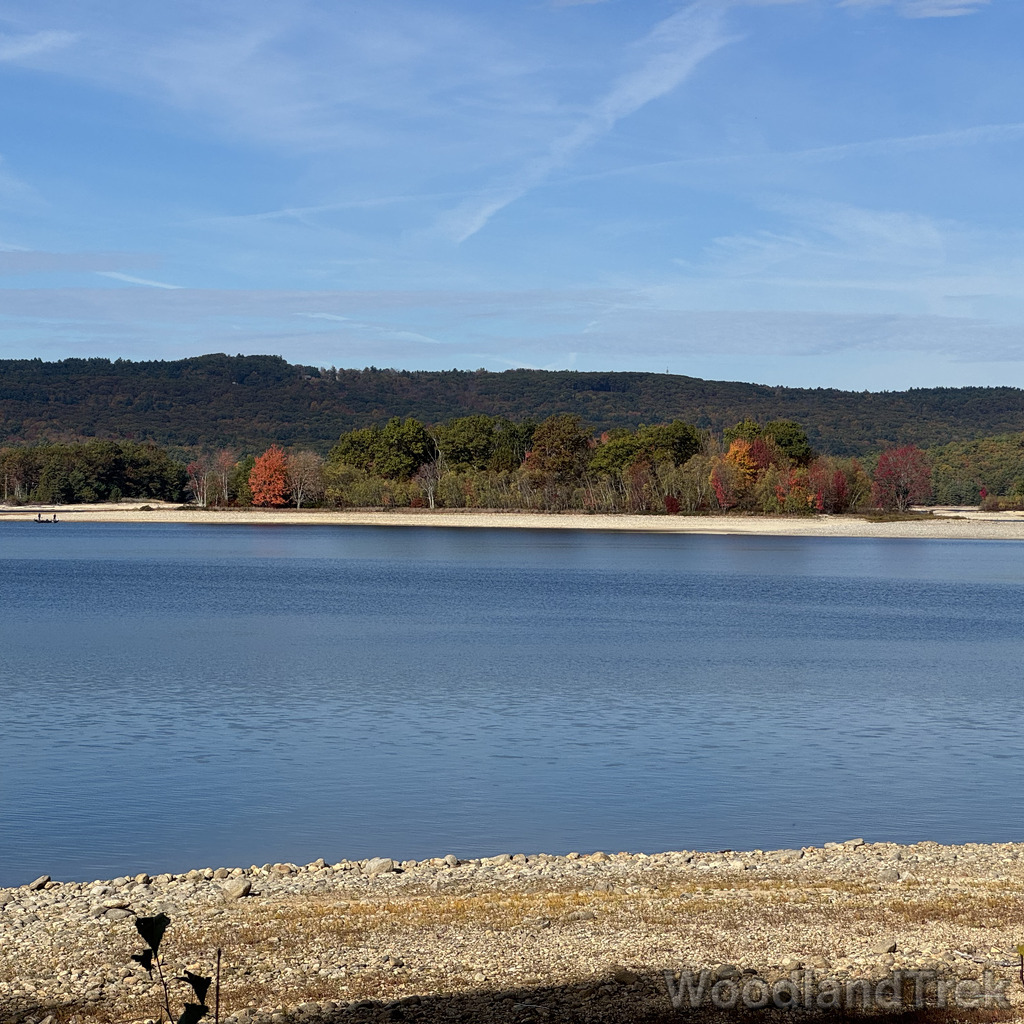 2025-10-18_100453_00