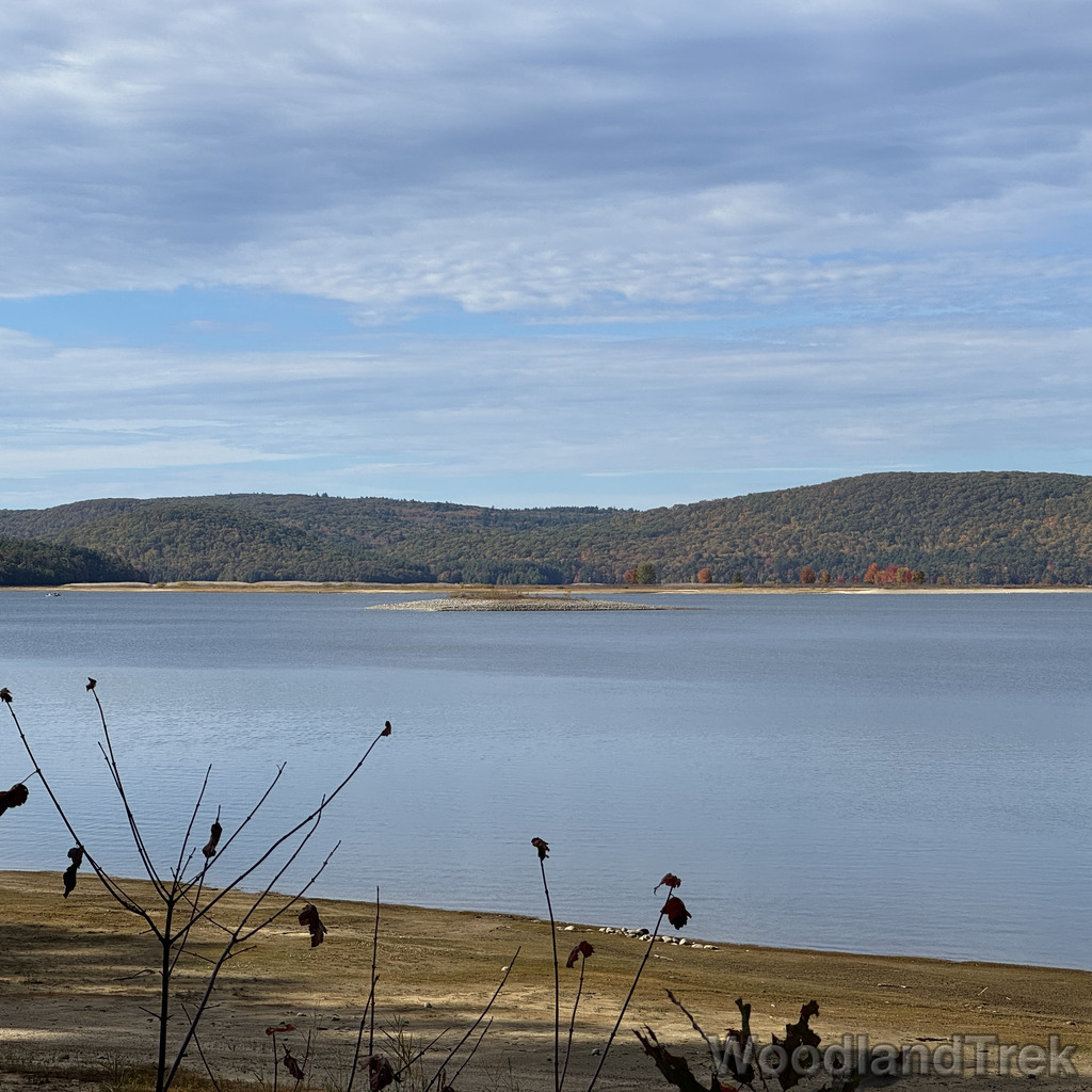 2025-10-18_100518_00