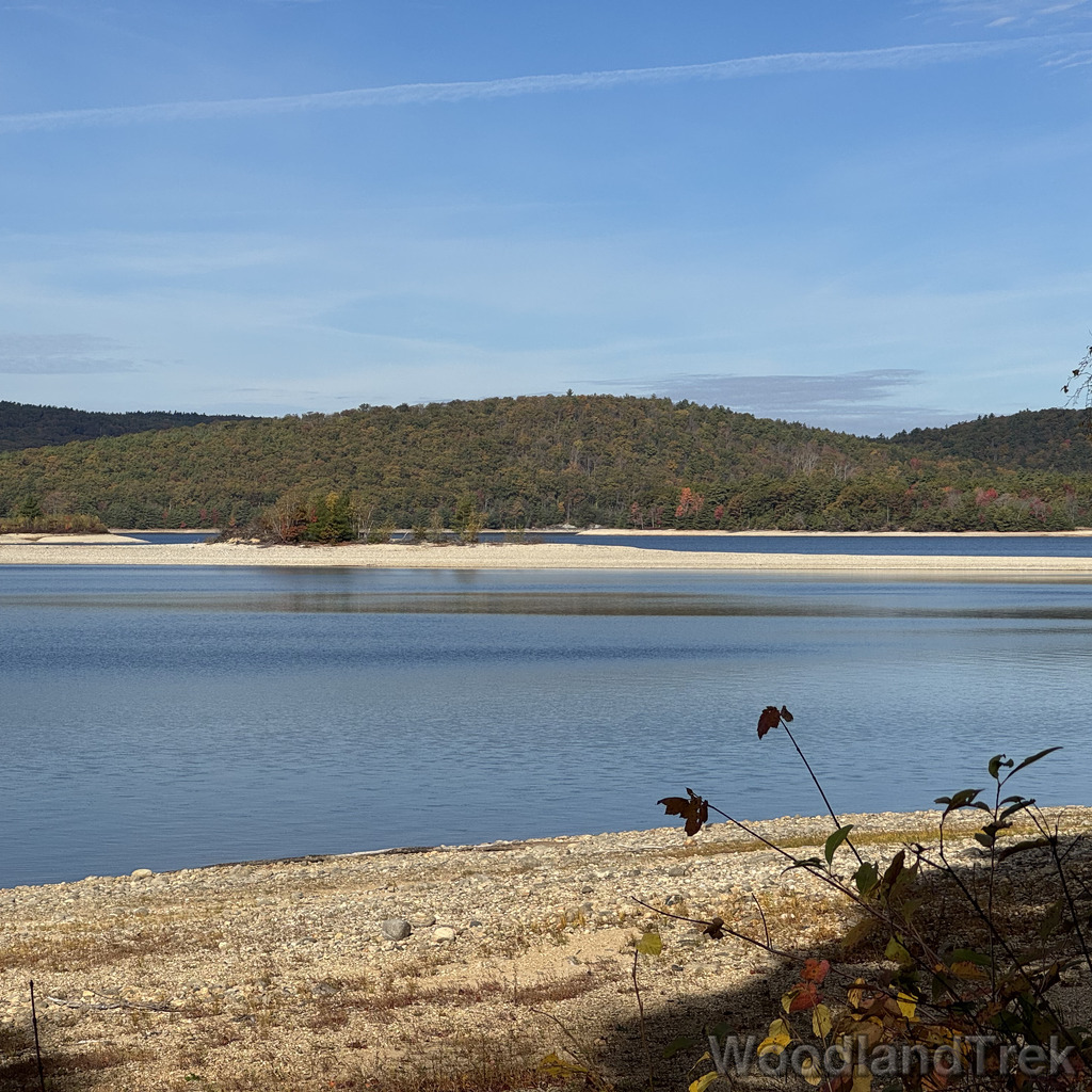 2025-10-18_100528_00