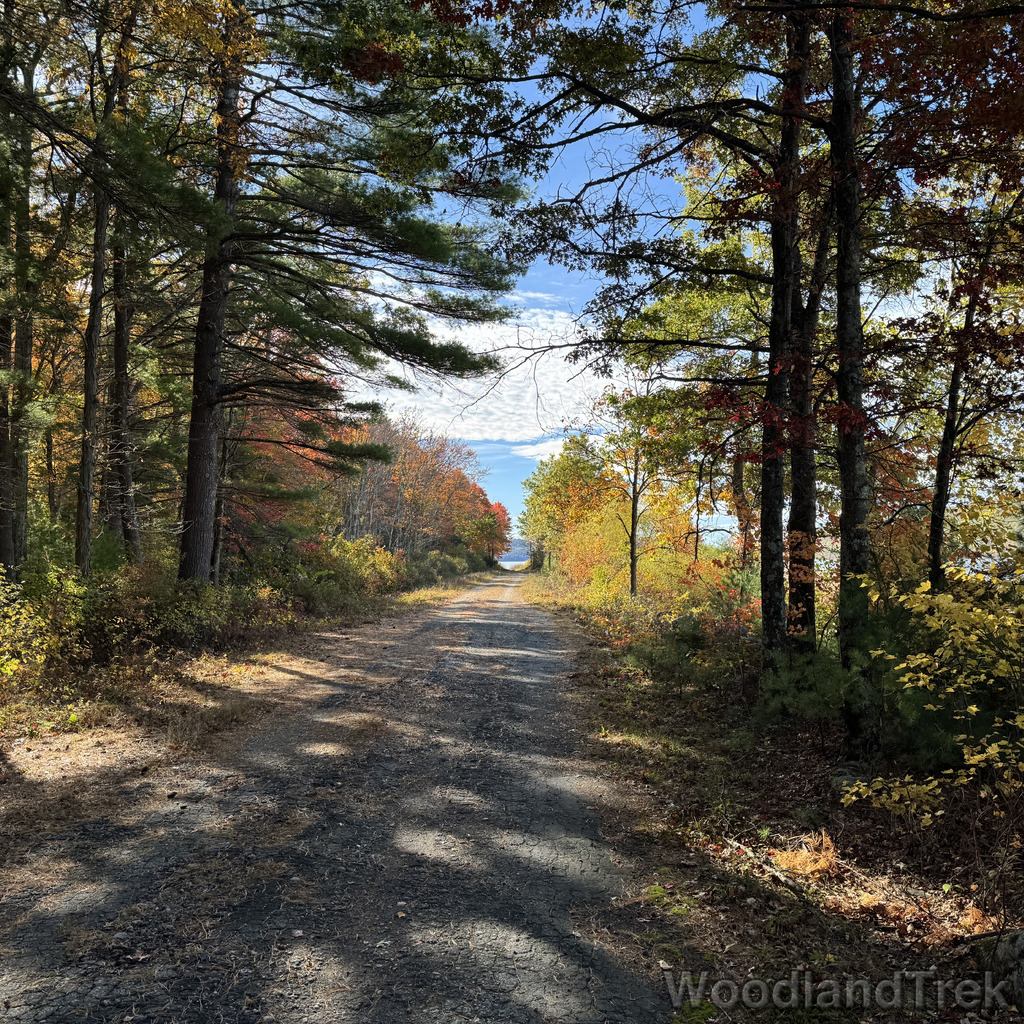 2025-10-18_102515_00