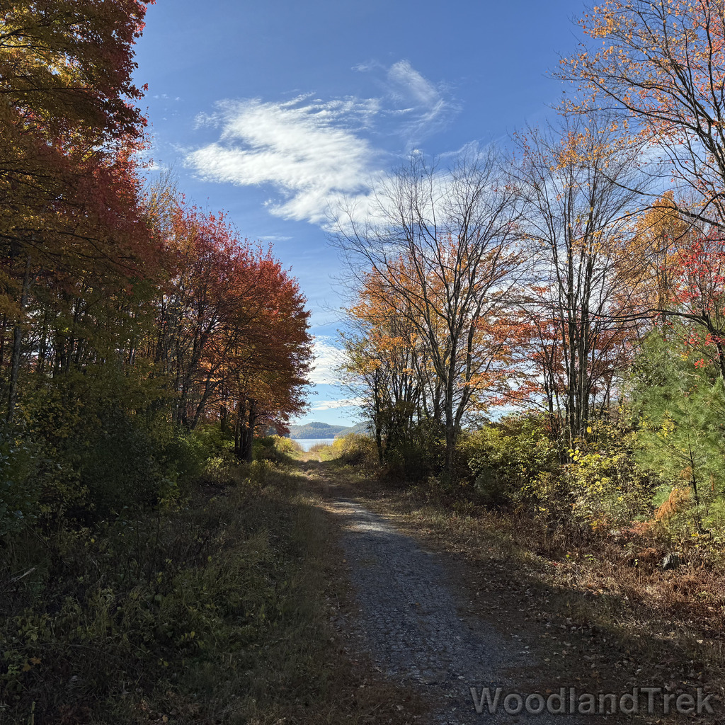 2025-10-18_103136_00