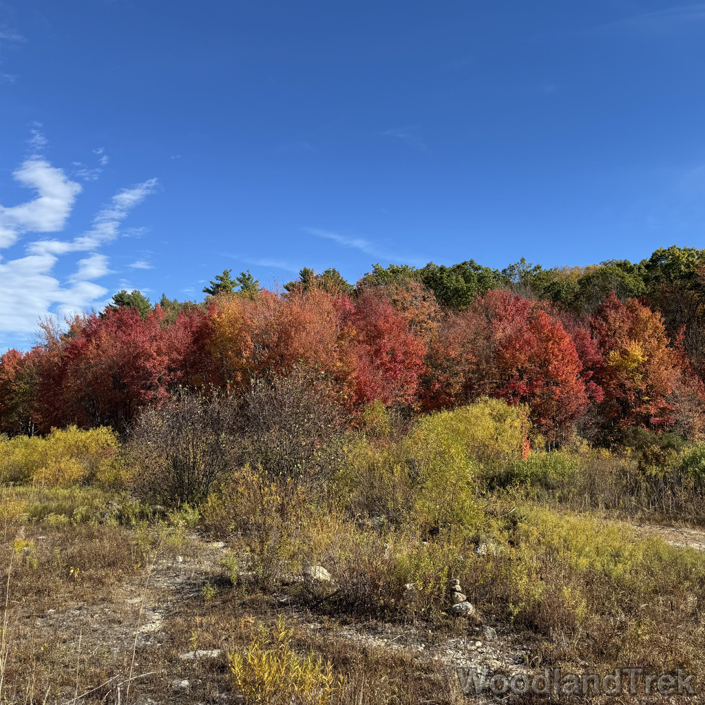 2025-10-18_103434_00