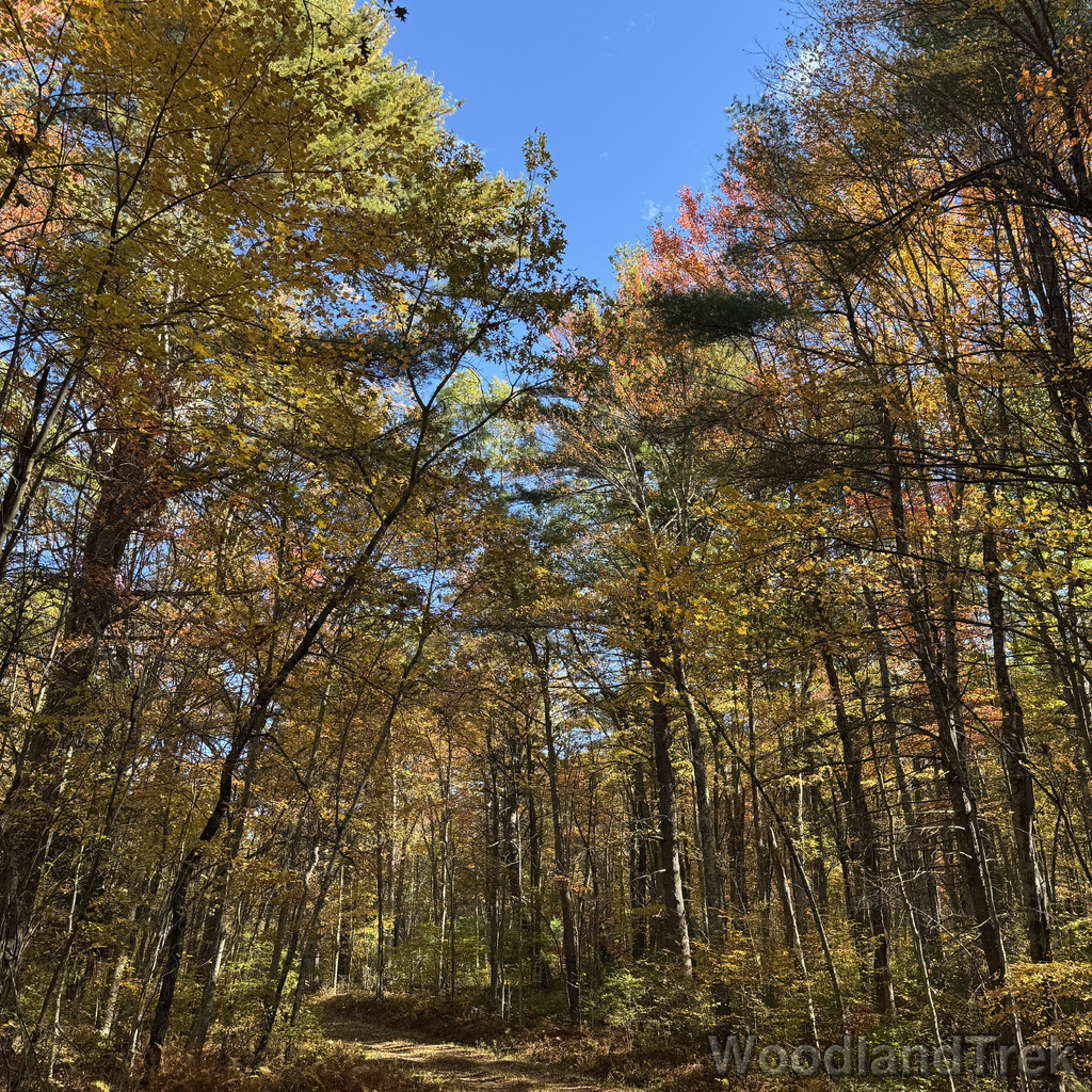 2025-10-18_103935_00