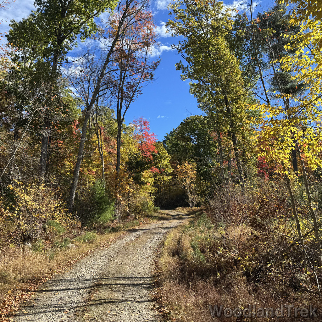 2025-10-18_104702_00