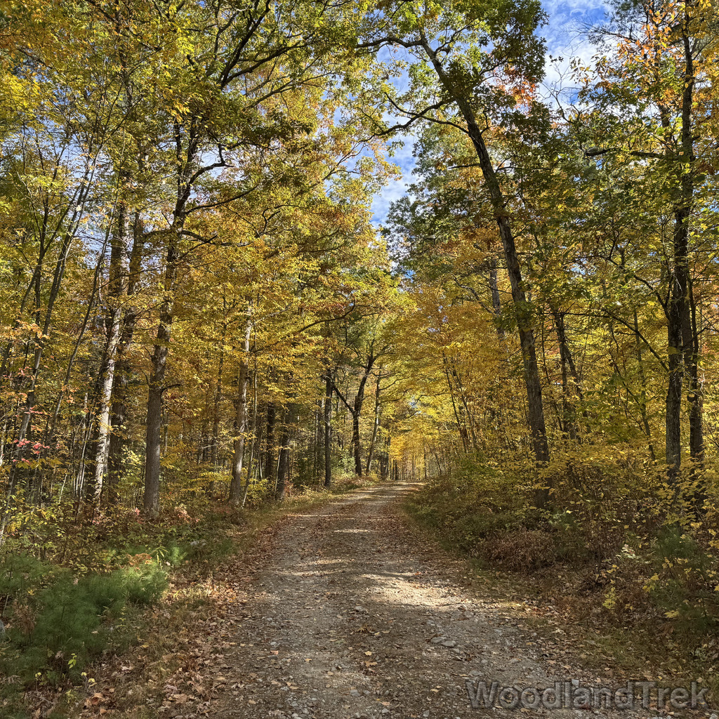 2025-10-18_105007_00