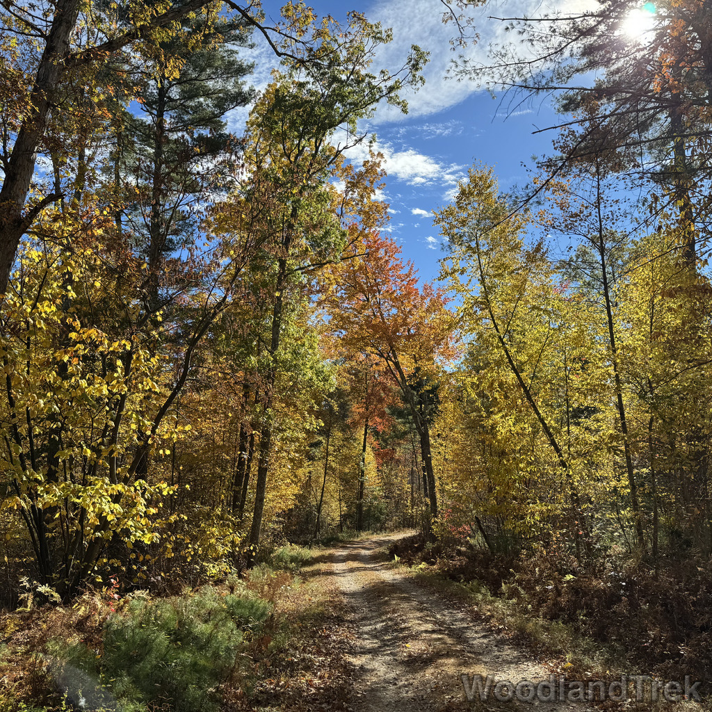 2025-10-18_105507_00