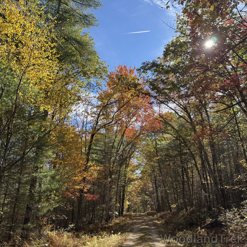 2025-10-18_110417_00