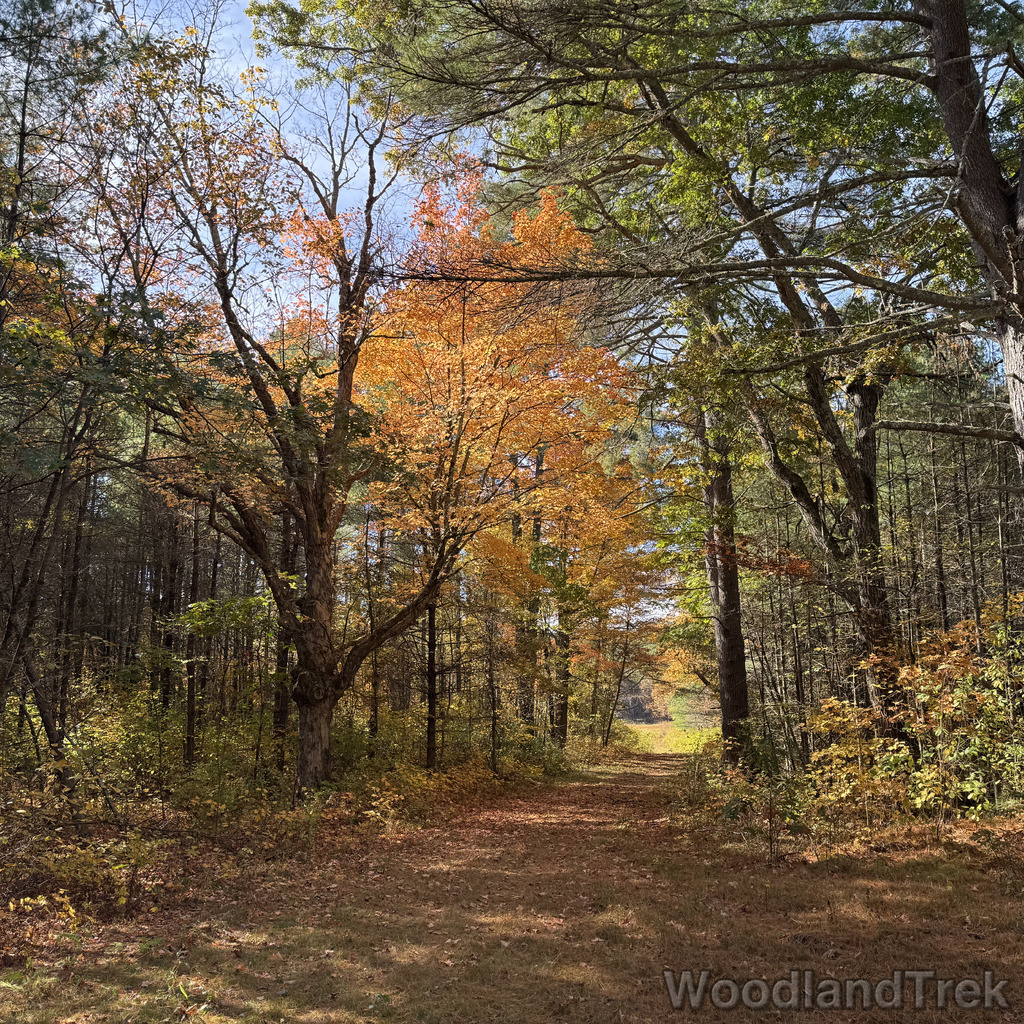 2025-10-18_111518_00