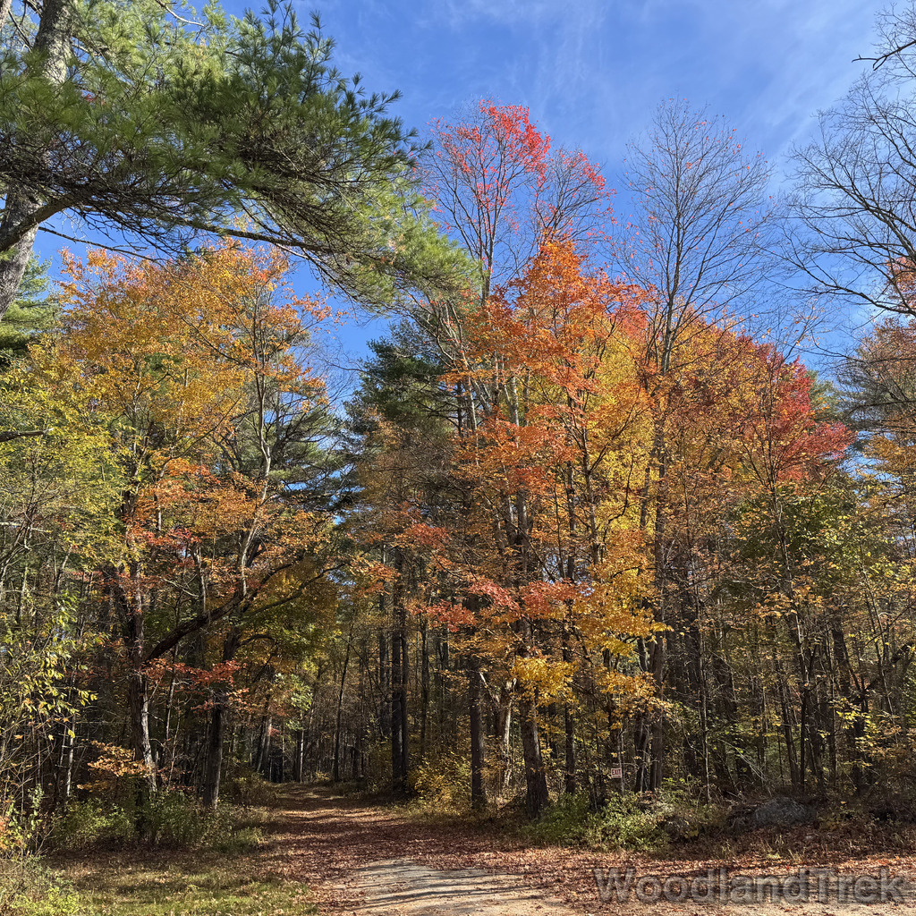 2025-10-18_111748_00