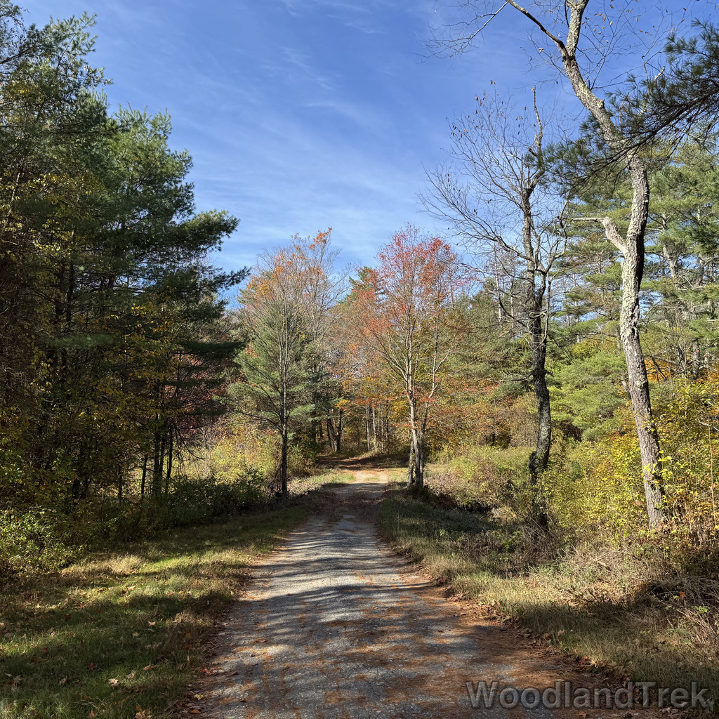 2025-10-18_111811_00