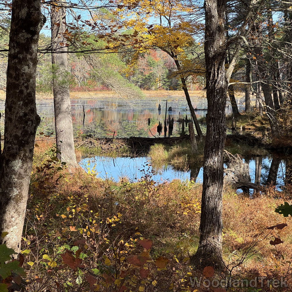 2025-10-18_112041_00