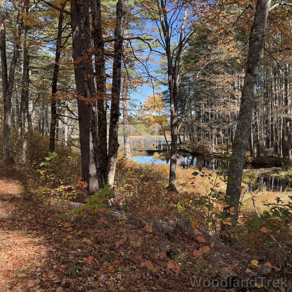 2025-10-18_112045_00