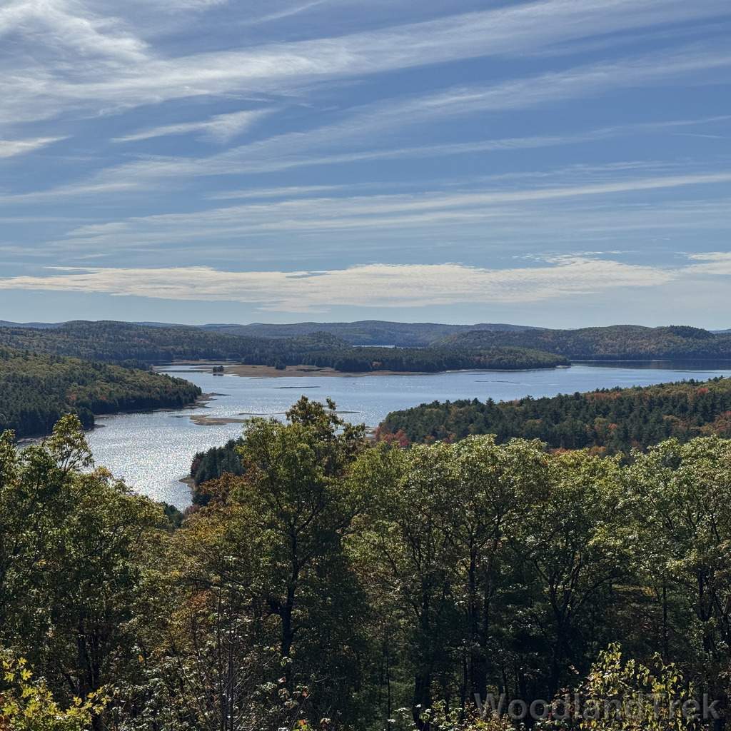 2025-10-18_115439_00