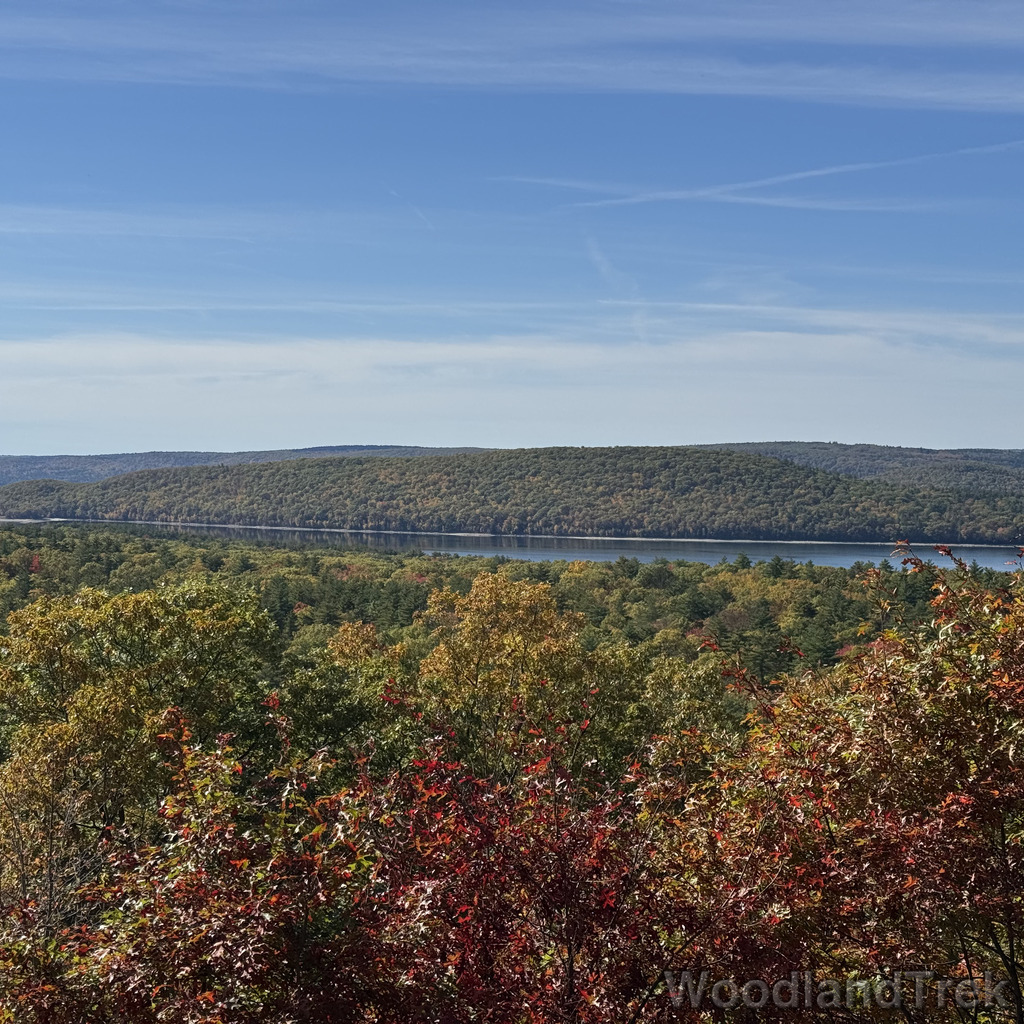 2025-10-18_115446_00