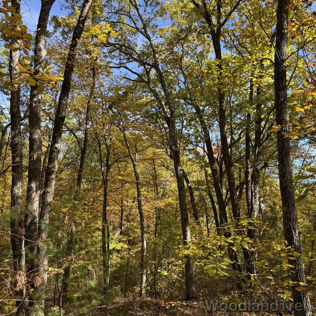 2025-10-18_121105_00