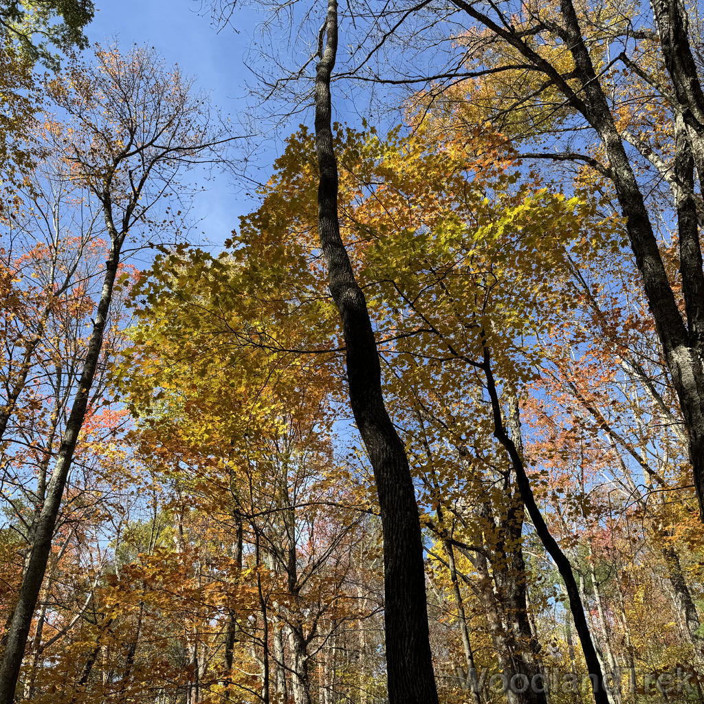 2025-10-18_123008_00