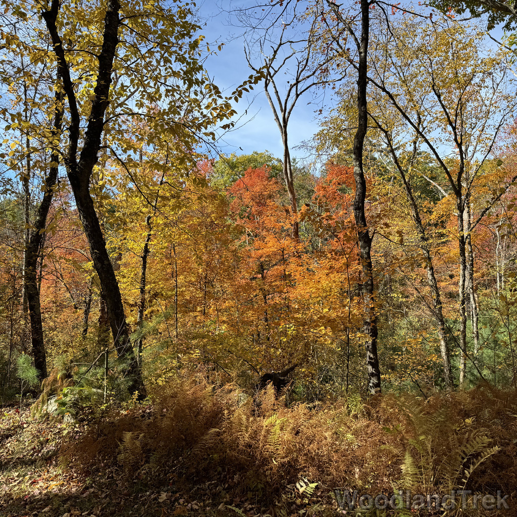 2025-10-18_123220_00