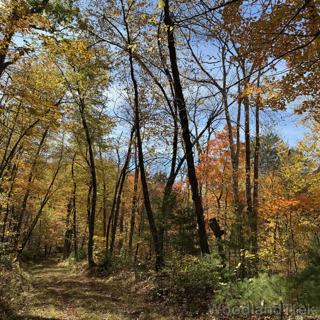 2025-10-18_123247_00