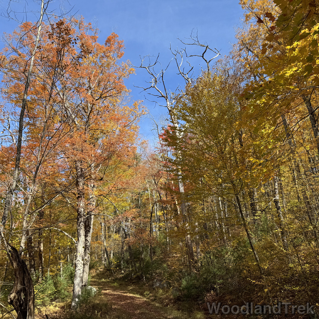 2025-10-18_123528_00