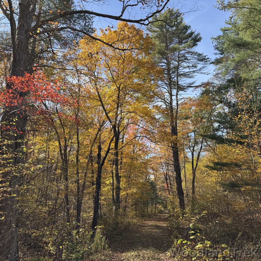 2025-10-18_123658_00