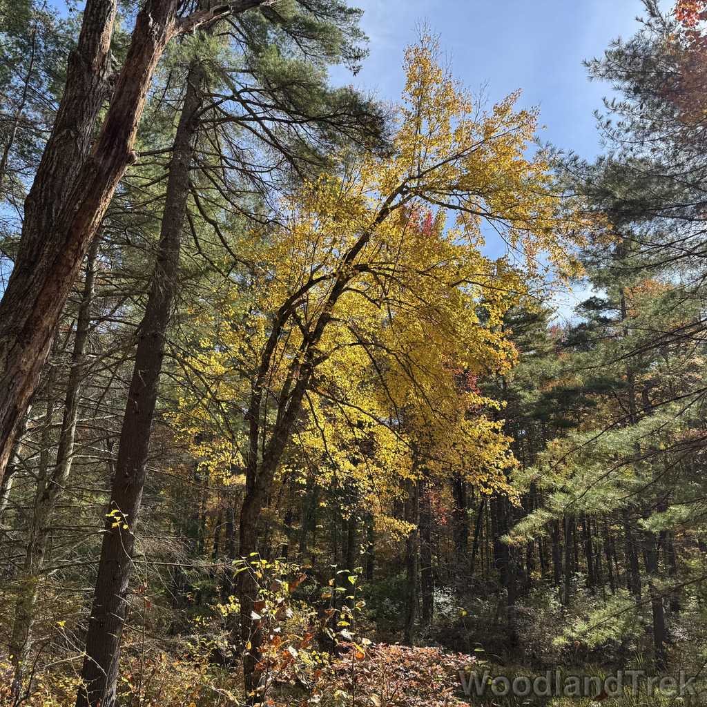 2025-10-18_124250_00