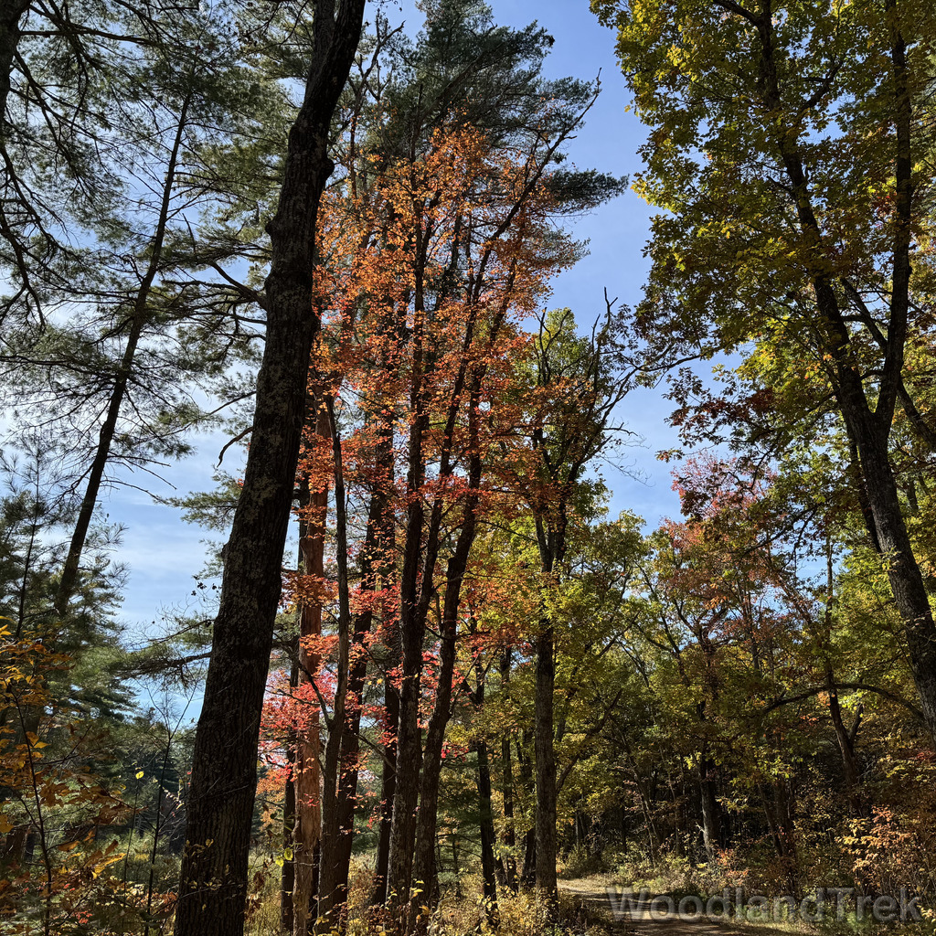 2025-10-18_124334_00