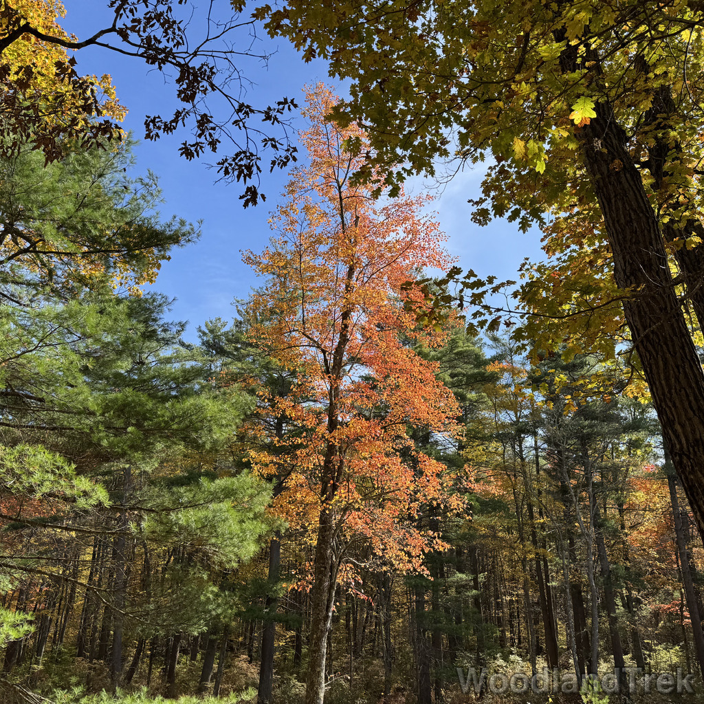 2025-10-18_124735_00