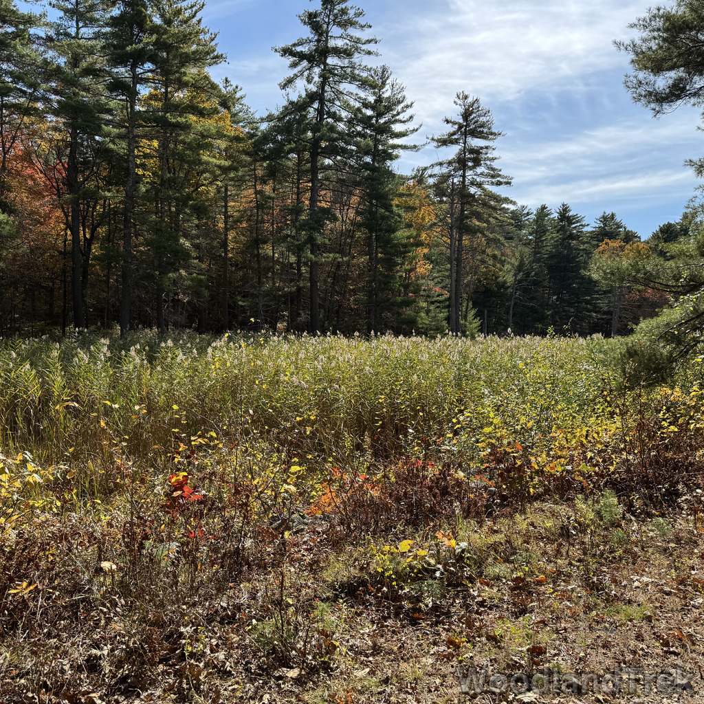 2025-10-18_124804_00