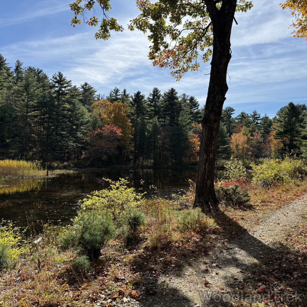 2025-10-18_124914_00