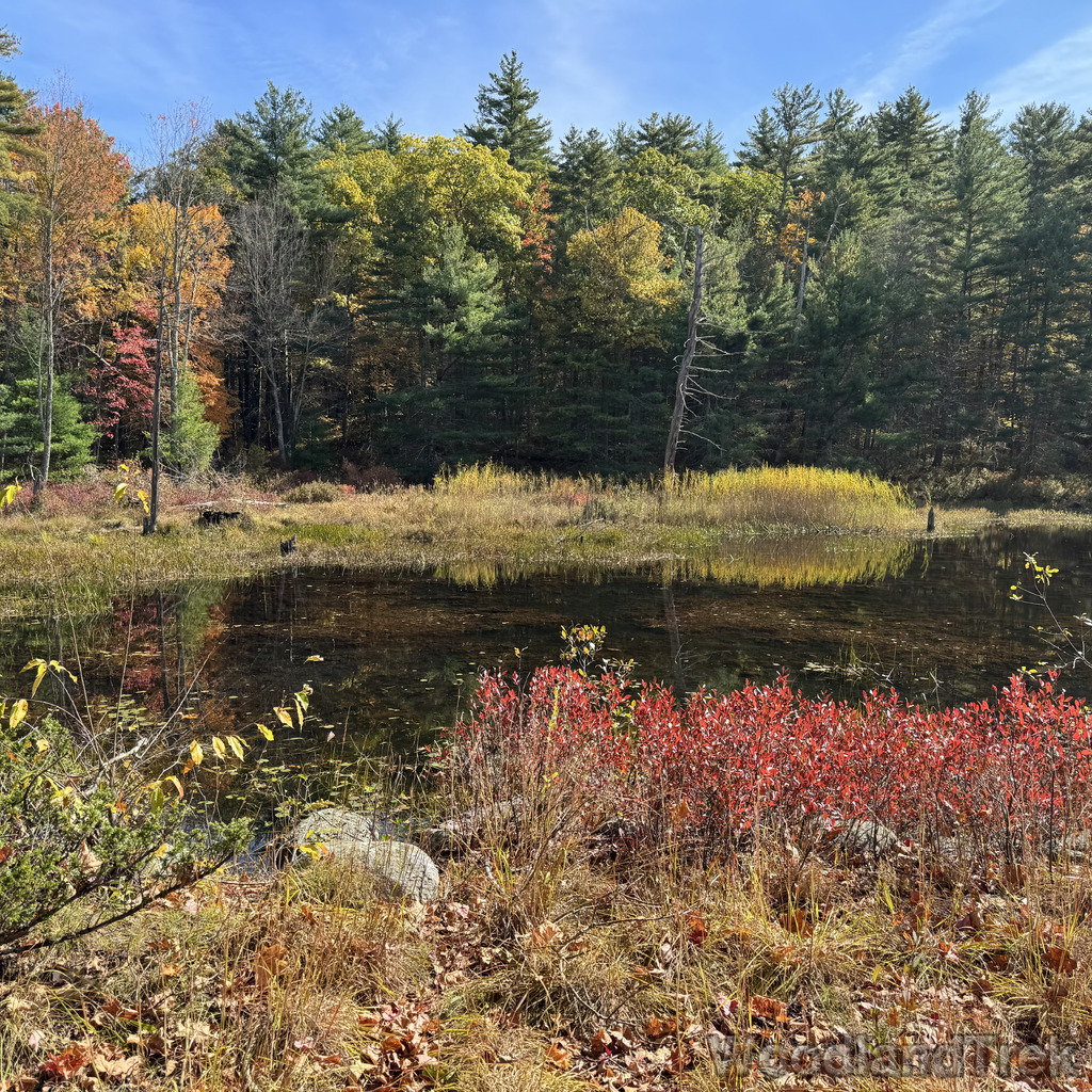 2025-10-18_124942_00