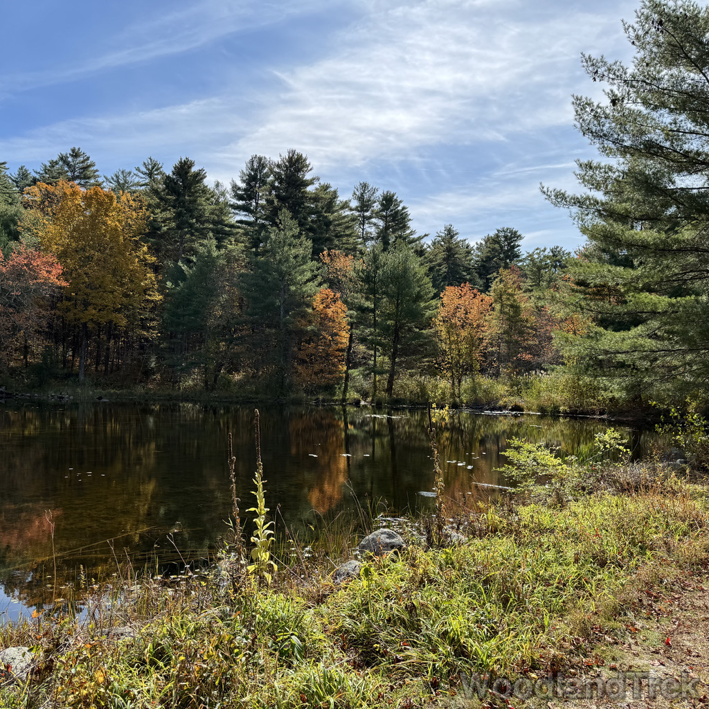 2025-10-18_125025_00