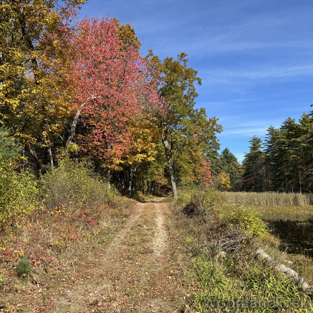 2025-10-18_125042_00