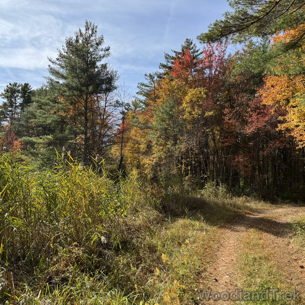 2025-10-18_125124_00