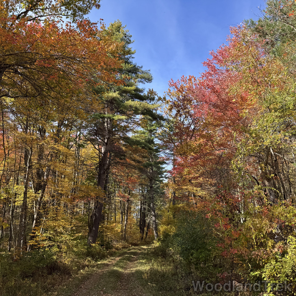 2025-10-18_125229_00