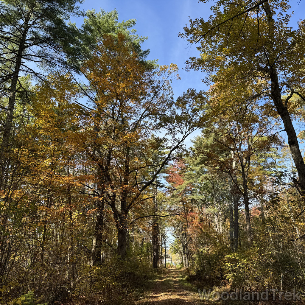 2025-10-18_125409_00