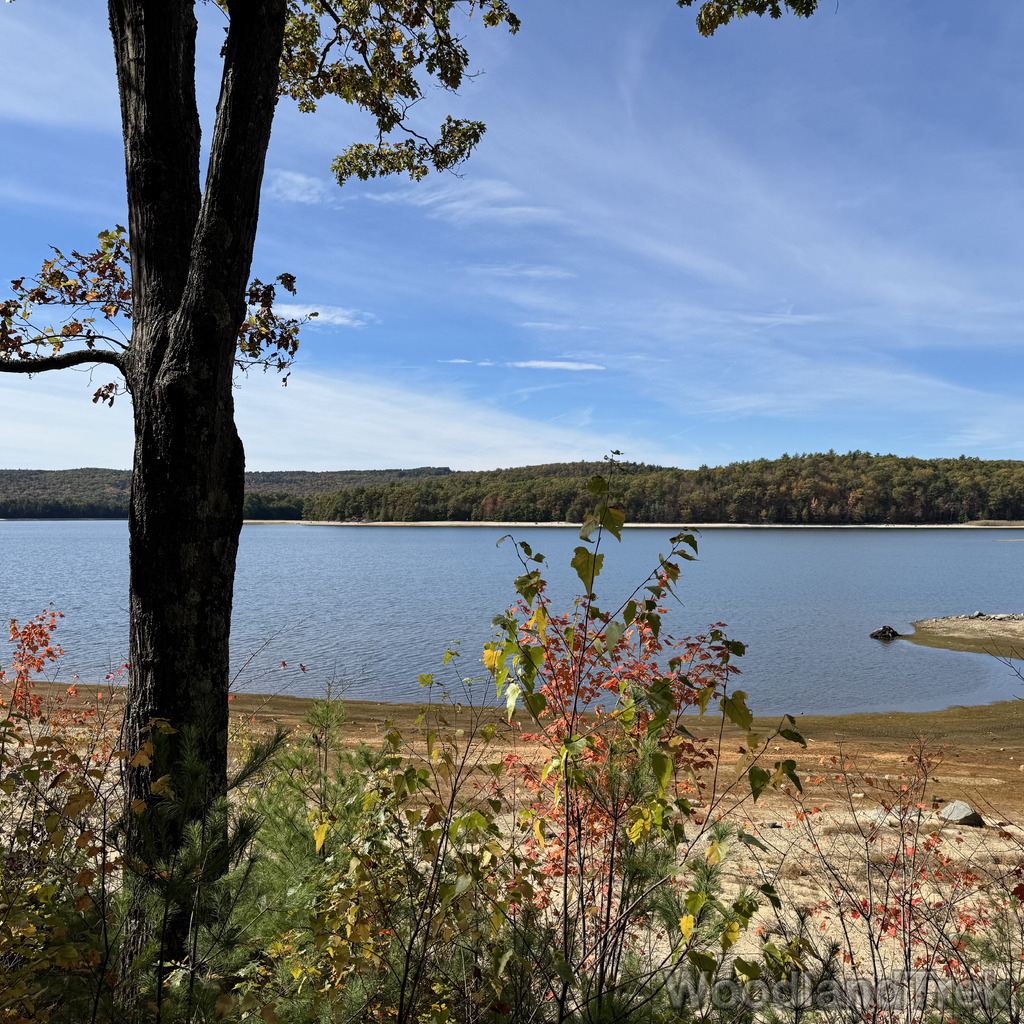 2025-10-18_132040_00