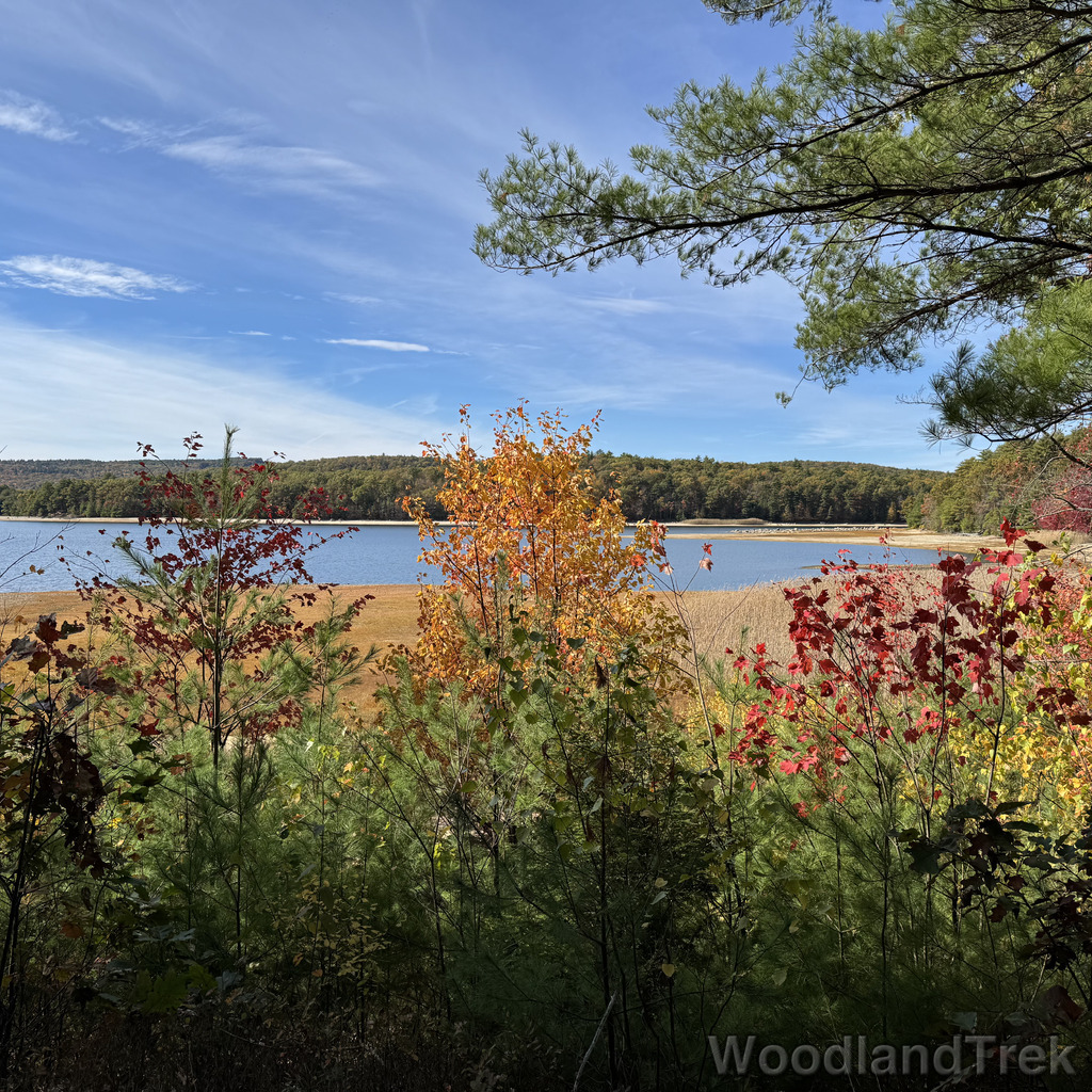 2025-10-18_132226_00