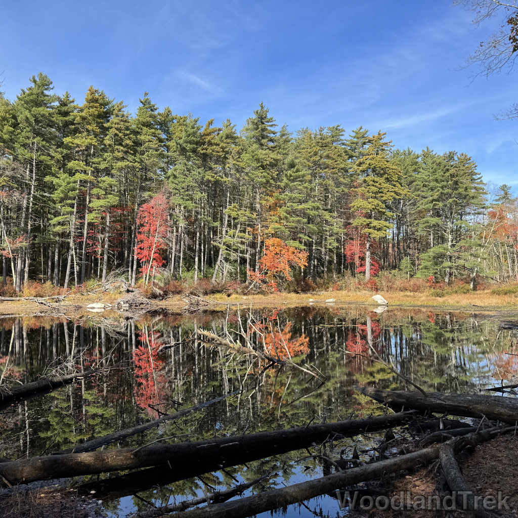 2025-10-18_132520_00