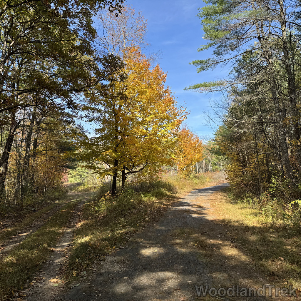 2025-10-18_133628_00