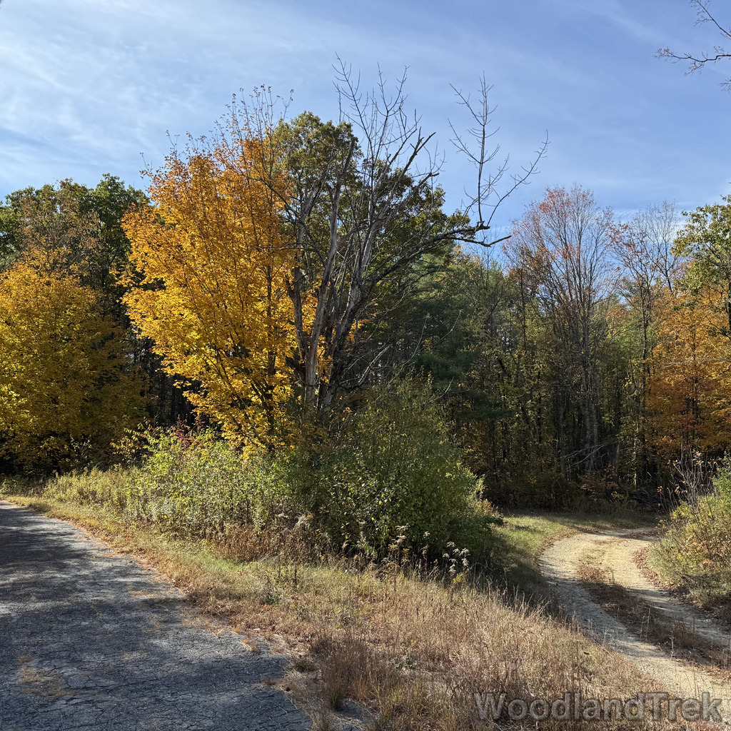 2025-10-18_133739_00