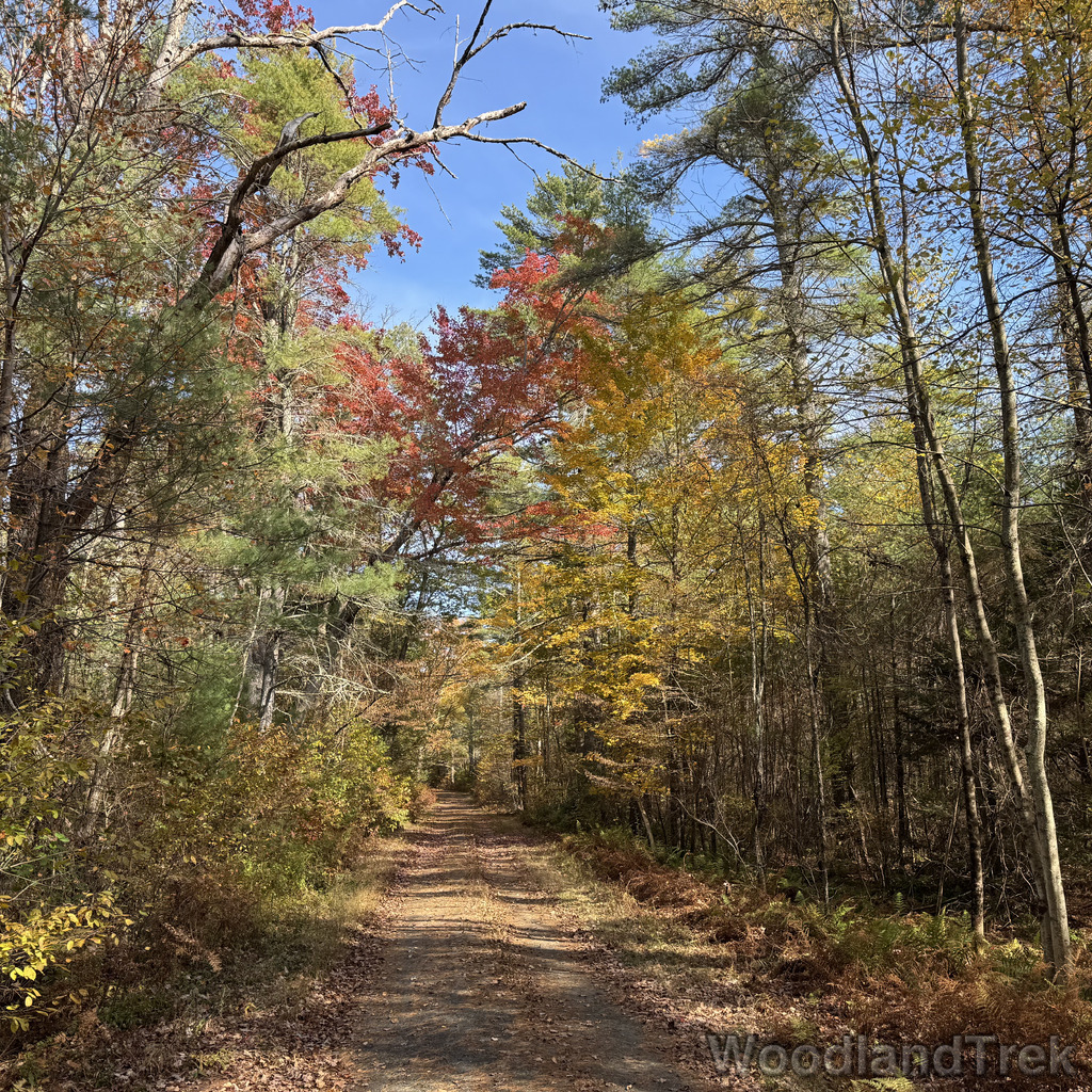 2025-10-18_133900_00