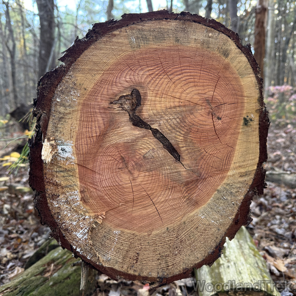 2025-10-26_134123_00