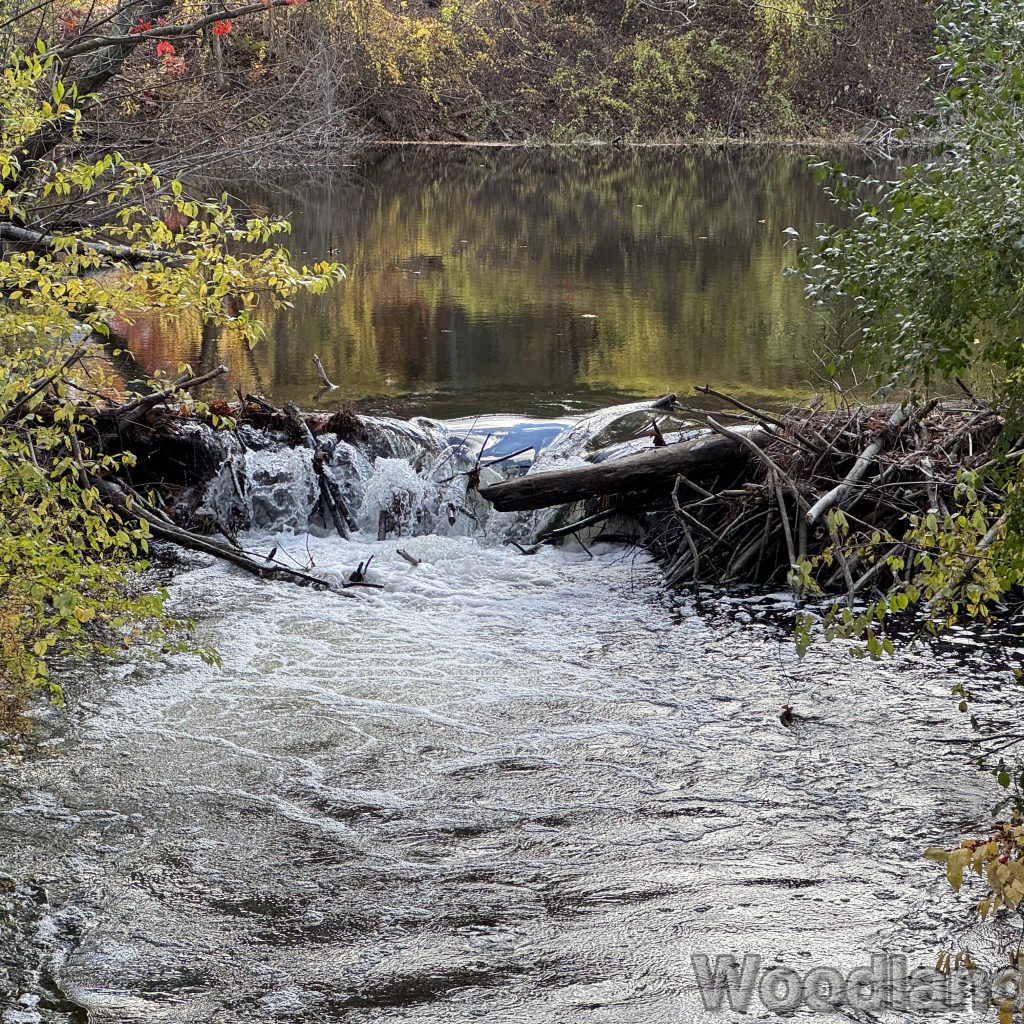 2025-10-26_144841_00